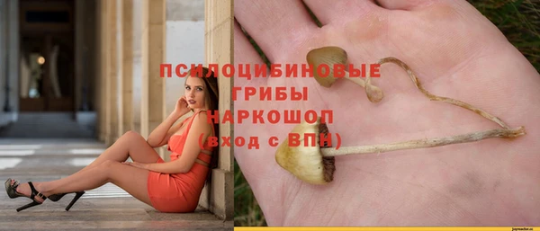 кокс Баксан