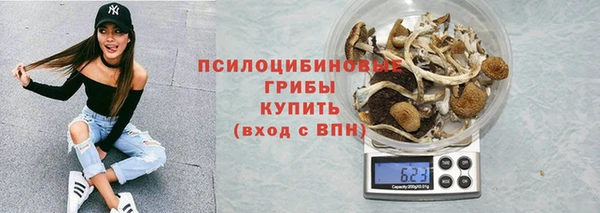 кокс Баксан