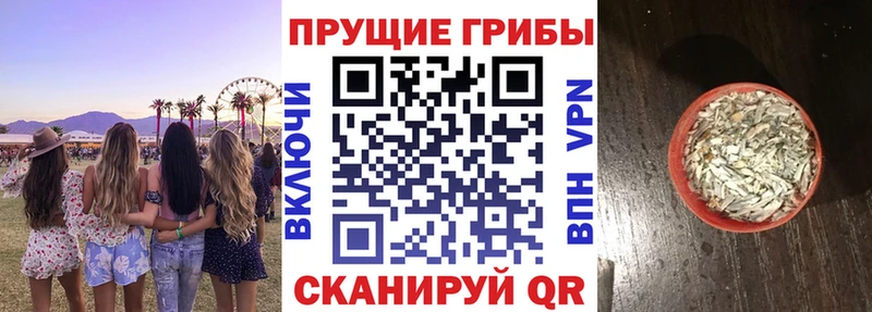 дарк нет клад  Сретенск  Галлюциногенные грибы мицелий 